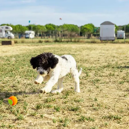 Gitavillage Club Degli Amici * Pescia Romana