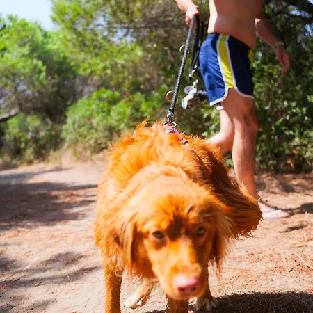 Prázdninový areál Gitavillage Club Degli Amici